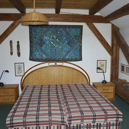 Medvedi Paseka
