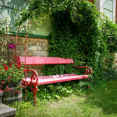 Medvedi Paseka Guest house *